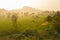 Beautiful landscape panoramic scenic scenery view of rice field valley palm trees with hills mountains on background. Hampi India