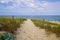 Beautiful landscape path way access Atlantic beach in sand dunes in Cap-Ferret ocean france