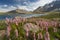 Beautiful landscape of Penzi la pass in summer, Zanskar valley,