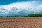 Beautiful landscape picture with asparagus field in the foreground.