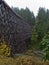 Beautiful landscape with portrait view of historic wooden railway bridge Kinsol Trestle located on Vancouver Island, Canada.