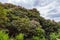 beautiful landscape with Rhododendrons in spring