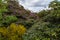 beautiful landscape with Rhododendrons in spring