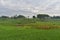 Beautiful landscape of rice field terraced at Boyolali, Central Java, Indonesia