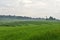 Beautiful landscape of rice field terraced at Boyolali, Central Java, Indonesia