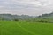 Beautiful landscape of rice field terraced at Boyolali, Central Java, Indonesia