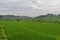 Beautiful landscape of rice field terraced at Boyolali, Central Java, Indonesia