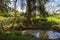 Beautiful landscape with river at Naivashi, Kenia