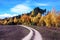 Beautiful landscape with road near autumn forest loop, purpose, life search,  arc - concept