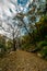 Beautiful landscape with rural road, trees with red and orange leaves in himalays