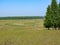 Beautiful landscape of the Russian hinterland - meadows, forest, rivulets, blue sky