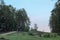 Beautiful landscape scene: a green meadow in the middle of conifers and a blue sunset sky in the background