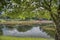 Beautiful landscape scene at the quiet green foliage lake.