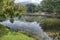 Beautiful landscape scene at the quiet green foliage lake.