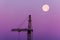 The beautiful landscape of silhouette of isolated crane and the moon on the background of purple sky