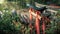 Beautiful landscape sunlight with red tori gates at Fushimi Inari Taisha shrine