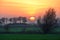 Beautiful landscape, sunset, tree and field, Poland