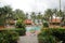 Beautiful landscape with swimming pool and coconut trees around