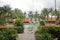 Beautiful landscape with swimming pool, house and coconut trees