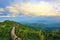 Beautiful landscape of tea plantation with wooden viewing deck and ladders