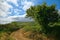 Beautiful landscape of a trail in a green meadow in Ireland on a sunny day