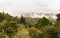 Beautiful landscape of trees with foggy mountains in the background