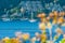 Beautiful Landscape and Tropical over the blue sea with yacht or sailing or sailboat in the background and blur flower in the fore