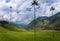 Beautiful landscape of the Valle del Cocora in Salento, Quindio, Colombia.