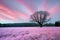 Beautiful landscape with vibrant candy floss pink colors, tale atmosphere