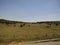 Beautiful landscape in the vicinity of Salamanca. Farmland.  Spain.