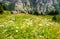 Beautiful Landscape view of Charming Murren Mountain Village with Lauterbrunnen Valley and Swiss Alps, Jungfrau region