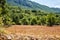 Beautiful Landscape View at Galicica National Park, Macedonia