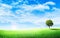 Beautiful landscape view of Green tree with grass meadow field and little hill.