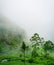 Beautiful landscape view in Haputale, Tea plants, and the roads leading to the Lipton seat, fog covering the mountains. Concept of