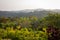 Beautiful landscape view of the hills along Coorg Kodagu district Karnataka, India. Selective focus