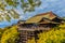 Beautiful landscape view of Kiyomizu-dera Temple with green tree