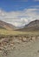 Beautiful landscape view of mountains in Darcha-Padum road