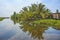 Beautiful landscape view near the river with water reflection on coconut tree