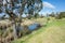 Beautiful landscape view and open space around a waterway in the nature grassland reserve in an Australian neighbourhood.