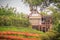 Beautiful landscape view of red flower garden and the small cottage in the forest at Bhubing palace, Chiang Mai, Thailand.