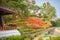 Beautiful landscape view of red flower garden and the small cottage in the forest at Bhubing palace, Chiang Mai, Thailand.
