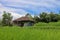 Beautiful landscape view of rice field with shelter for cows. Vi