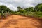 Beautiful landscape view on the way to the Gruta da Lapa Doce cave, Chapada Diamantina in Bahia, Brazil