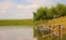 Beautiful landscape with a view of willows