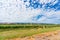 Beautiful landscape of vineyard and picturesque sky