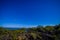 Beautiful landscape in volcanic Rangitoto island in Auckland, in a sunny day with a beautiful blue sky