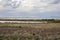 Beautiful landscape of wetlands and skyline of Melbourne