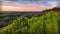 Beautiful landscape with wildflowers on a hill, river valley and sunset.