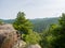 Beautiful landscape young cedars grow on the rocks