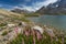 Beautiful landscape of Zanskar valley in summer, Leh, Jammu Kashmir, India